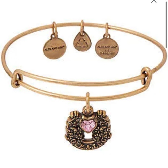 Alex and Ani Fortune’s Favor Charm Bracelet - Picture 1 of 6